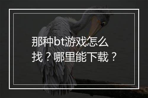 那种bt游戏怎么找？哪里能下载？