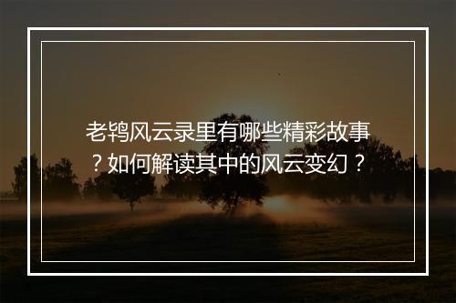 老鸨风云录里有哪些精彩故事？如何解读其中的风云变幻？