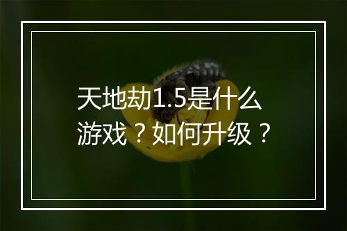 天地劫1.5是什么游戏？如何升级？