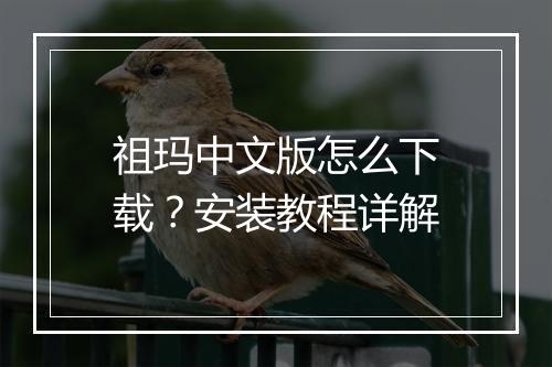 祖玛中文版怎么下载?安装教程详解