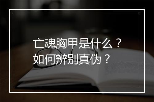 亡魂胸甲是什么？如何辨别真伪？