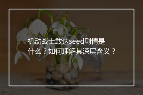机动战士敢达seed剧情是什么？如何理解其深层含义？