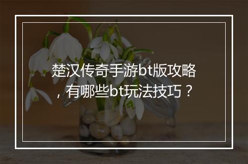楚汉传奇手游bt版攻略，有哪些bt玩法技巧？