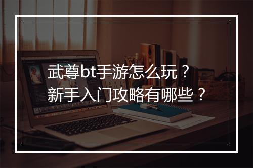 武尊bt手游怎么玩？新手入门攻略有哪些？