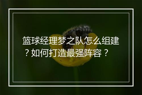 篮球经理梦之队怎么组建？如何打造最强阵容？