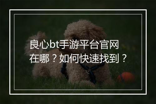 良心bt手游平台官网在哪?如何快速找到?