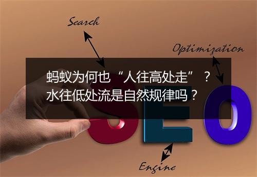 蚂蚁为何也“人往高处走”?水往低处流是自然规律吗?