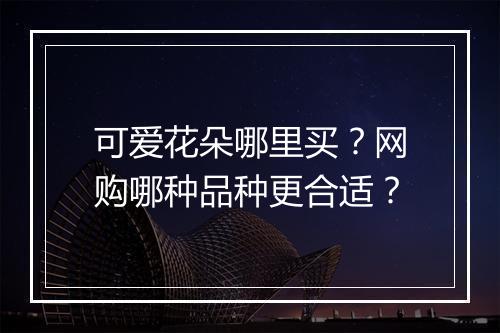 可爱花朵哪里买?网购哪种品种更合适?