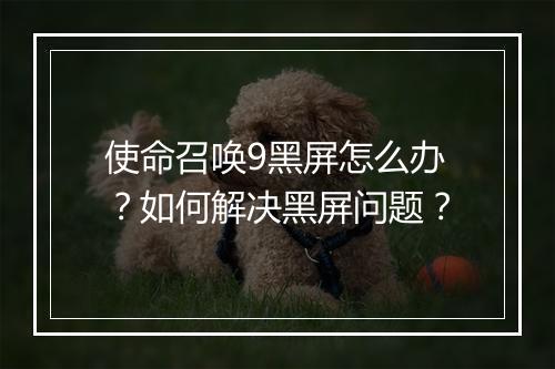 使命召唤9黑屏怎么办?如何解决黑屏问题?