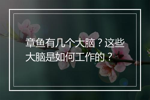 章鱼有几个大脑?这些大脑是如何工作的?