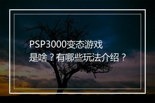 PSP3000变态游戏是啥?有哪些玩法介绍?