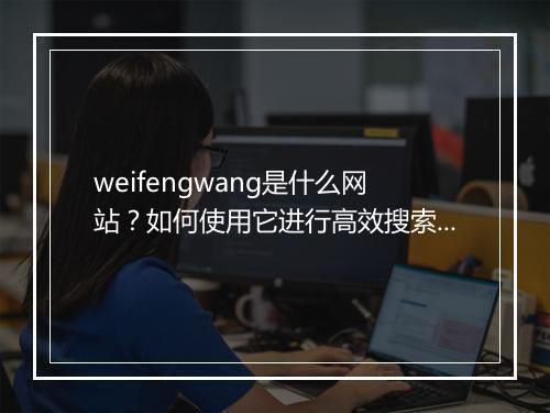 weifengwang是什么网站？如何使用它进行高效搜索？