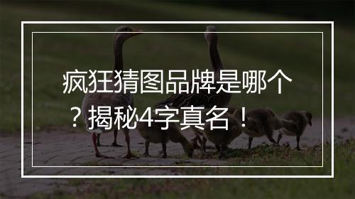 疯狂猜图品牌是哪个？揭秘4字真名！