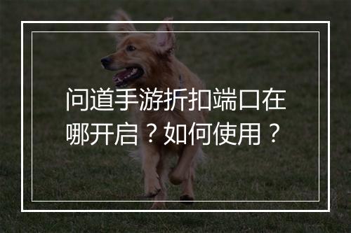 问道手游折扣端口在哪开启?如何使用?