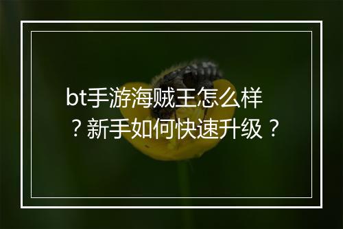 bt手游海贼王怎么样？新手如何快速升级？