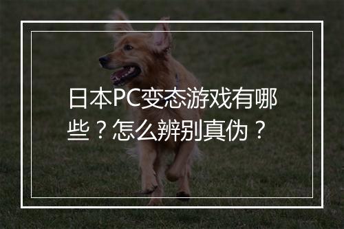 日本PC变态游戏有哪些?怎么辨别真伪?