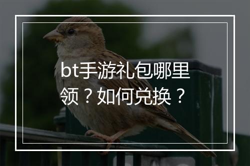 bt手游礼包哪里领？如何兑换？