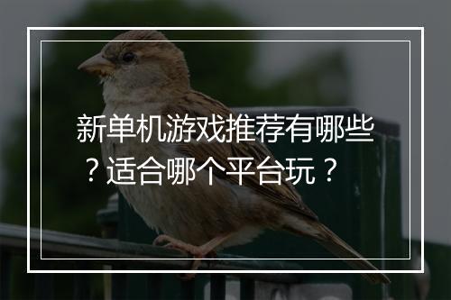 新单机游戏推荐有哪些？适合哪个平台玩？