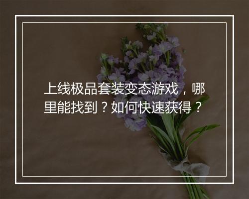 上线极品套装变态游戏,哪里能找到?如何快速获得?