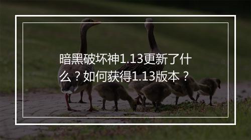 暗黑破坏神1.13更新了什么?如何获得1.13版本?