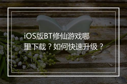 iOS版BT修仙游戏哪里下载？如何快速升级？