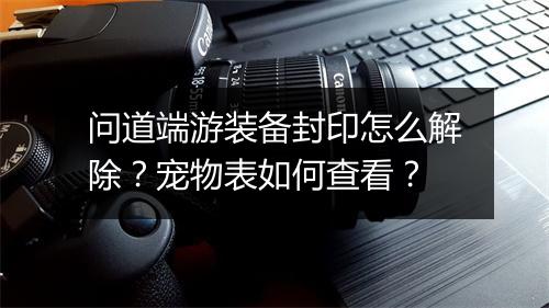 问道端游装备封印怎么解除？宠物表如何查看？
