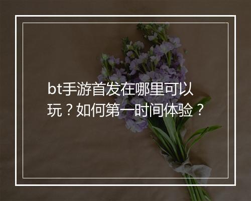 bt手游首发在哪里可以玩?如何第一时间体验?