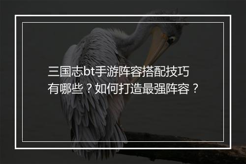 三国志bt手游阵容搭配技巧有哪些？如何打造最强阵容？