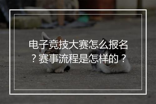 电子竞技大赛怎么报名？赛事流程是怎样的？