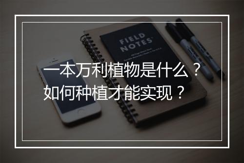 一本万利植物是什么？如何种植才能实现？