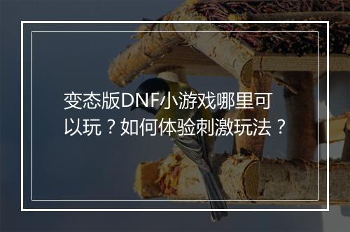 变态版DNF小游戏哪里可以玩？如何体验刺激玩法？