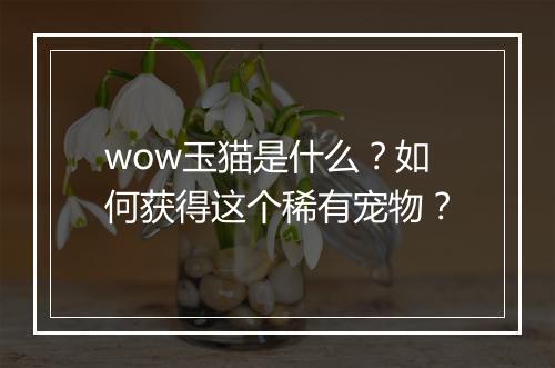 wow玉猫是什么？如何获得这个稀有宠物？