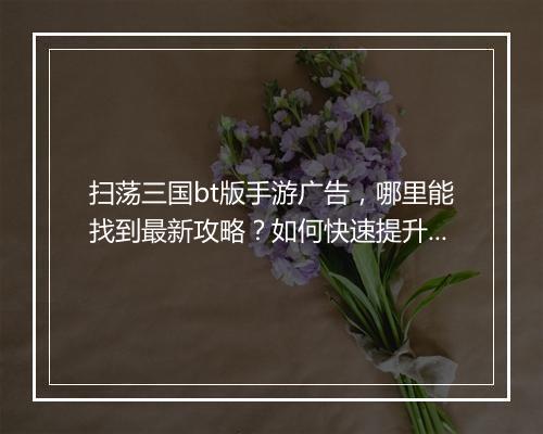 扫荡三国bt版手游广告，哪里能找到最新攻略？如何快速提升战斗力？