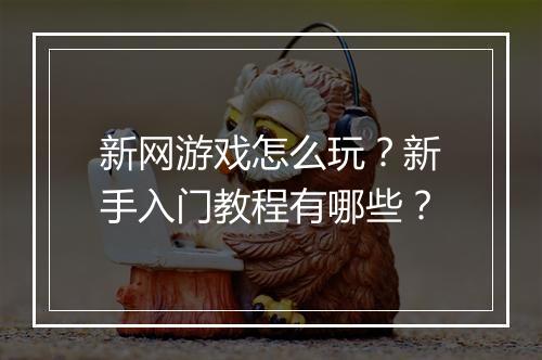 新网游戏怎么玩?新手入门教程有哪些?