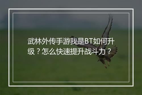 武林外传手游我是BT如何升级？怎么快速提升战斗力？