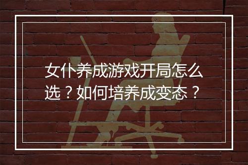 女仆养成游戏开局怎么选？如何培养成变态？