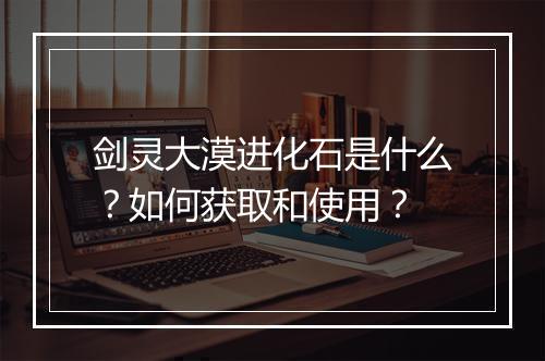 剑灵大漠进化石是什么？如何获取和使用？