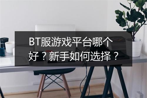 BT服游戏平台哪个好?新手如何选择?