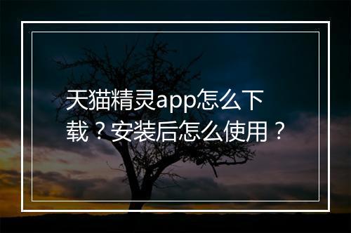 天猫精灵app怎么下载?安装后怎么使用?
