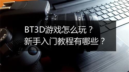 BT3D游戏怎么玩？新手入门教程有哪些？