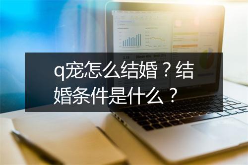 q宠怎么结婚?结婚条件是什么?