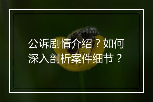 公诉剧情介绍？如何深入剖析案件细节？