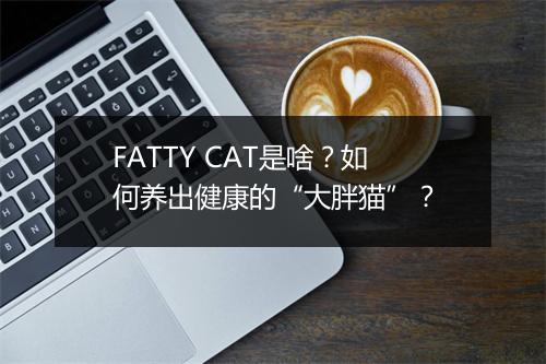 FATTY CAT是啥？如何养出健康的“大胖猫”？