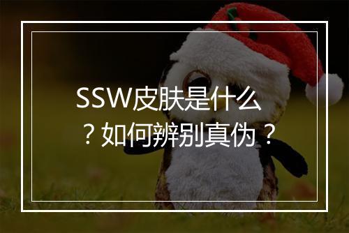 SSW皮肤是什么？如何辨别真伪？