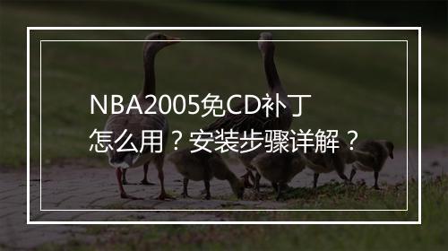 NBA2005免CD补丁怎么用?安装步骤详解?