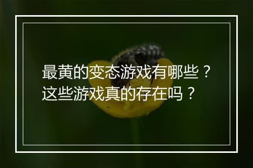 最黄的变态游戏有哪些？这些游戏真的存在吗？