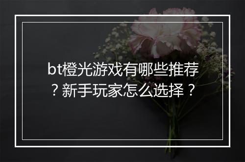 bt橙光游戏有哪些推荐？新手玩家怎么选择？
