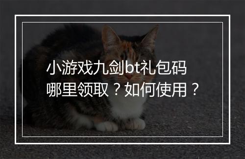 小游戏九剑bt礼包码哪里领取？如何使用？