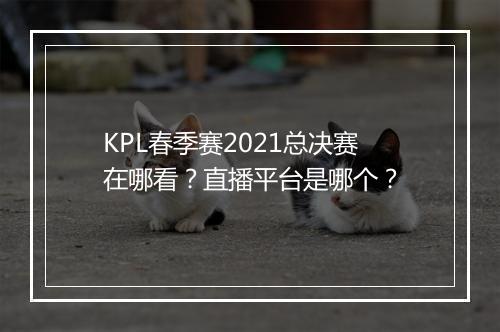 KPL春季赛2021总决赛在哪看？直播平台是哪个？