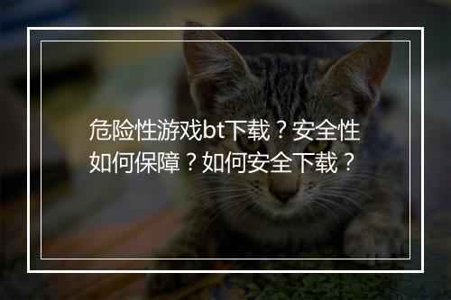 危险性游戏bt下载？安全性如何保障？如何安全下载？